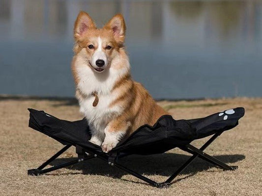 Lit de Camp Chien | POUR TOUTOU ET MINOU - Camping Confortable