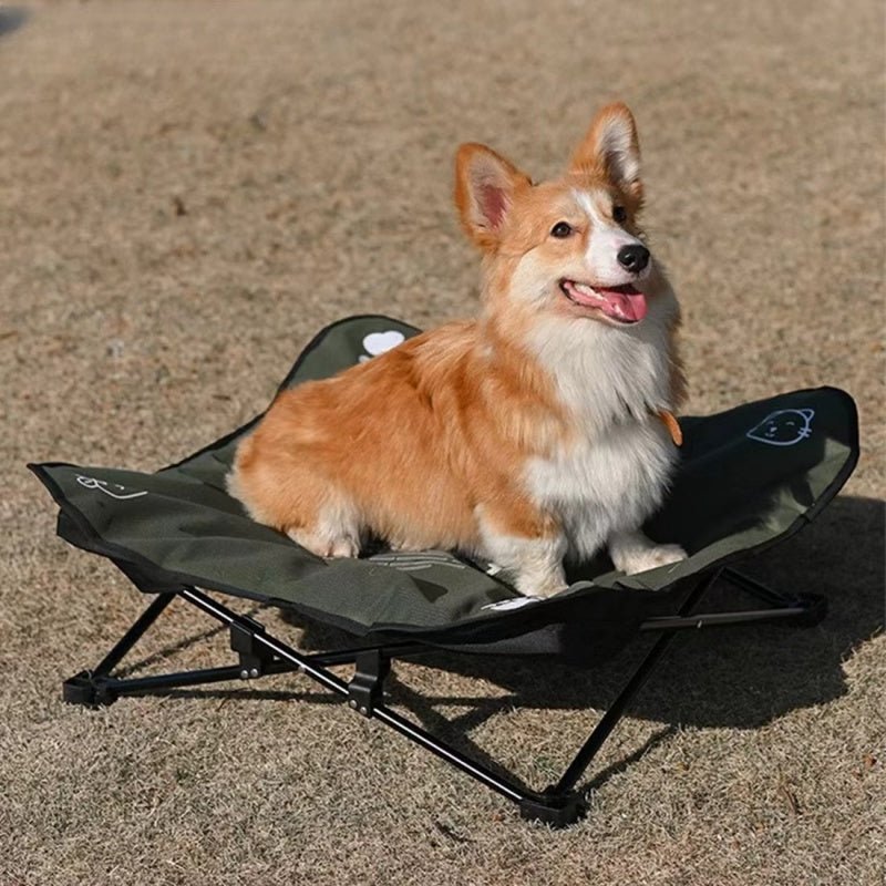 Lit de Camp Chien | POUR TOUTOU ET MINOU - Camping Confortable