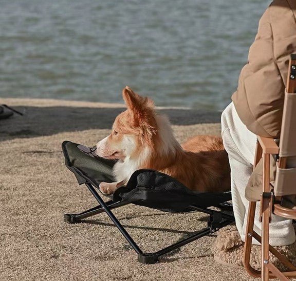 Lit de Camp Chien | POUR TOUTOU ET MINOU - Camping Confortable