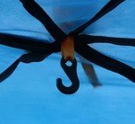 tente | L'AUTOMATIQUE - Camping Confortable