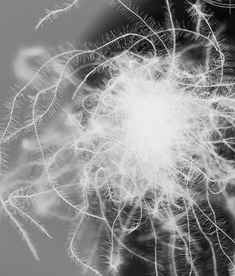 Sac de couchage 0 degré | LE DUVET DE CANARD - Camping Confortable