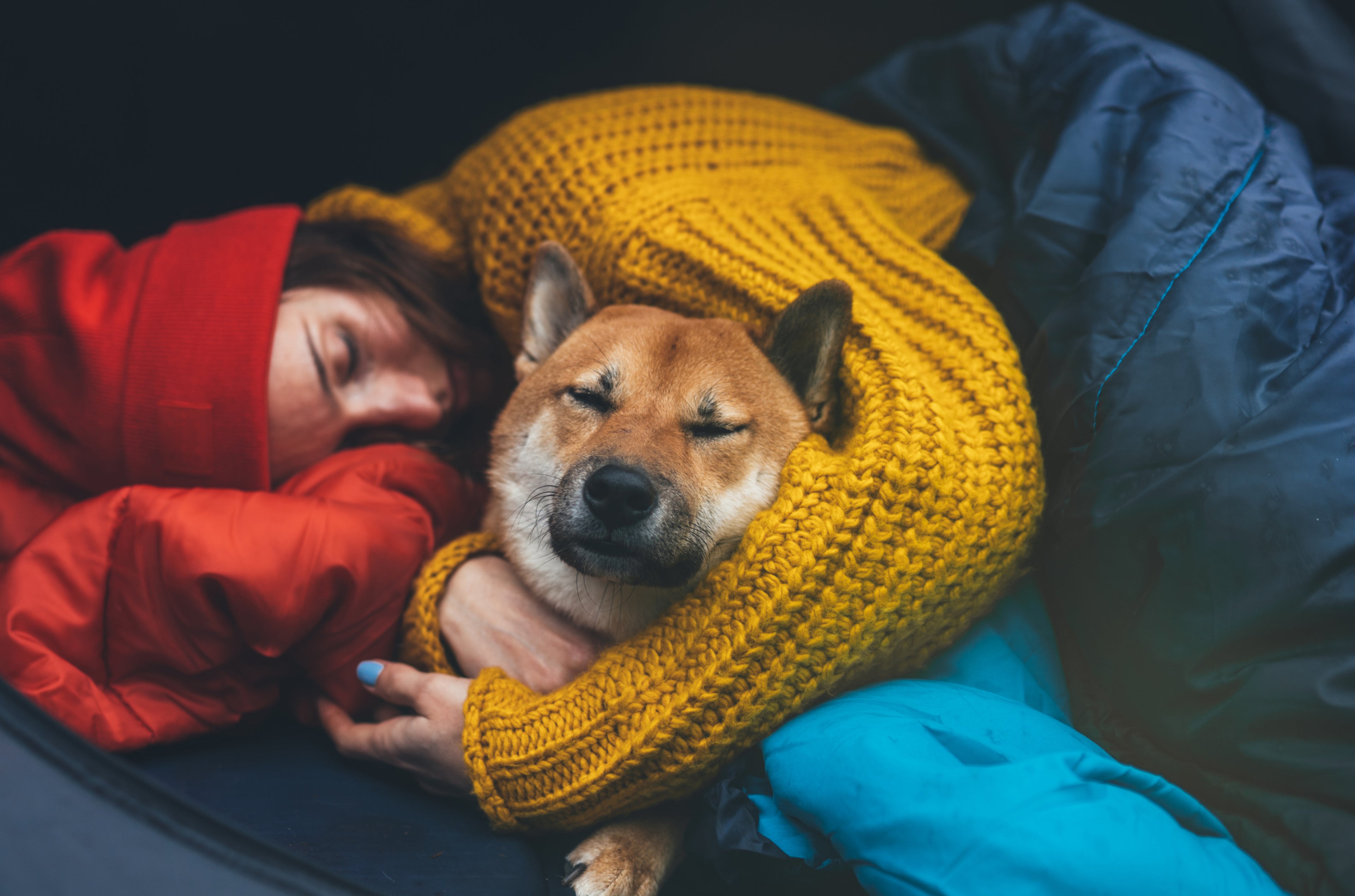femme et chien couche dans tente proche