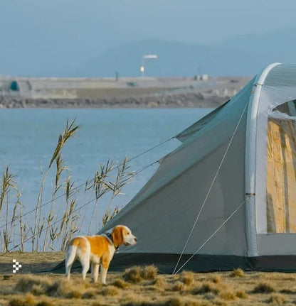 tente gonflable la parfaite avec chien